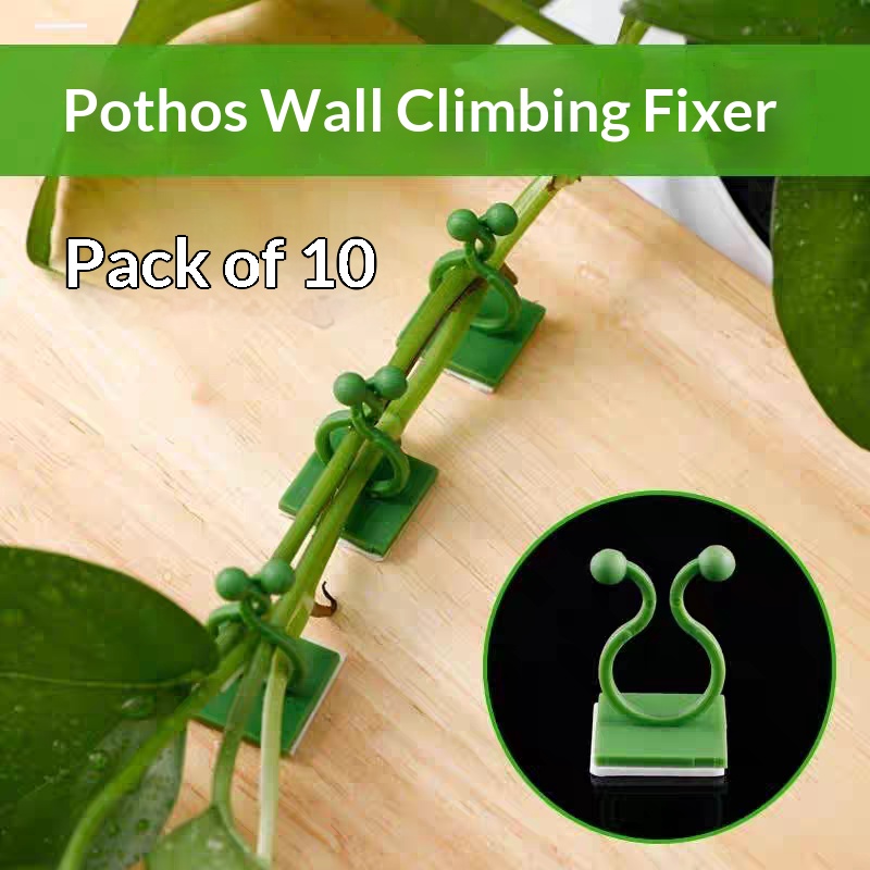 Samoprzylepne klipsy do mocowa – Wall Anchor Plastic recenzja i cena